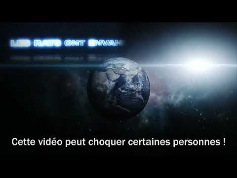 youtube - [Video]