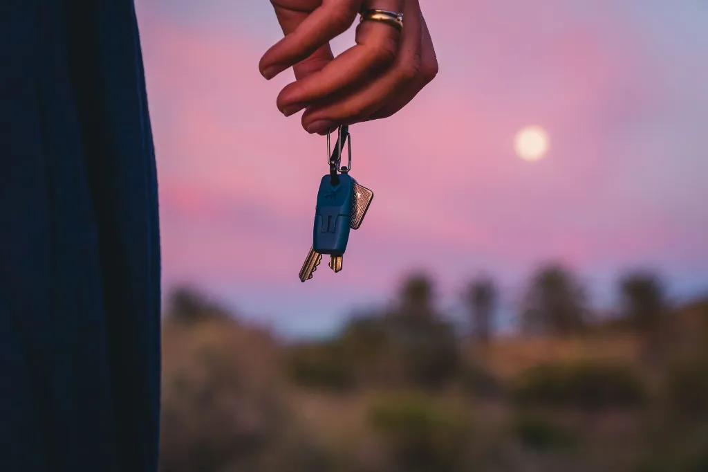 classic solo (2).webp