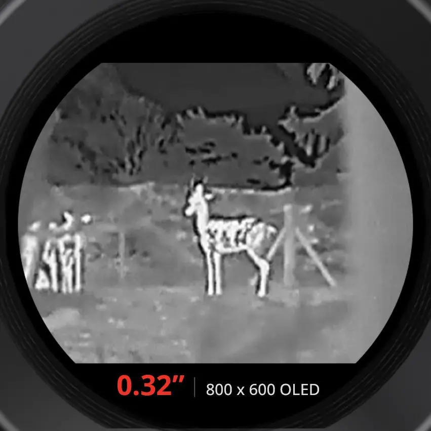 LYNX S-Large OLED Display.webp