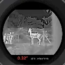 LYNX S-Large OLED Display.webp