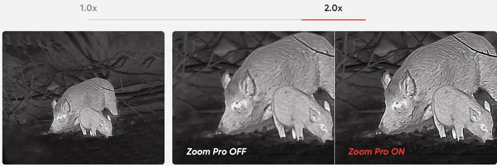 HABROK Zoom Pro Algorithm.webp