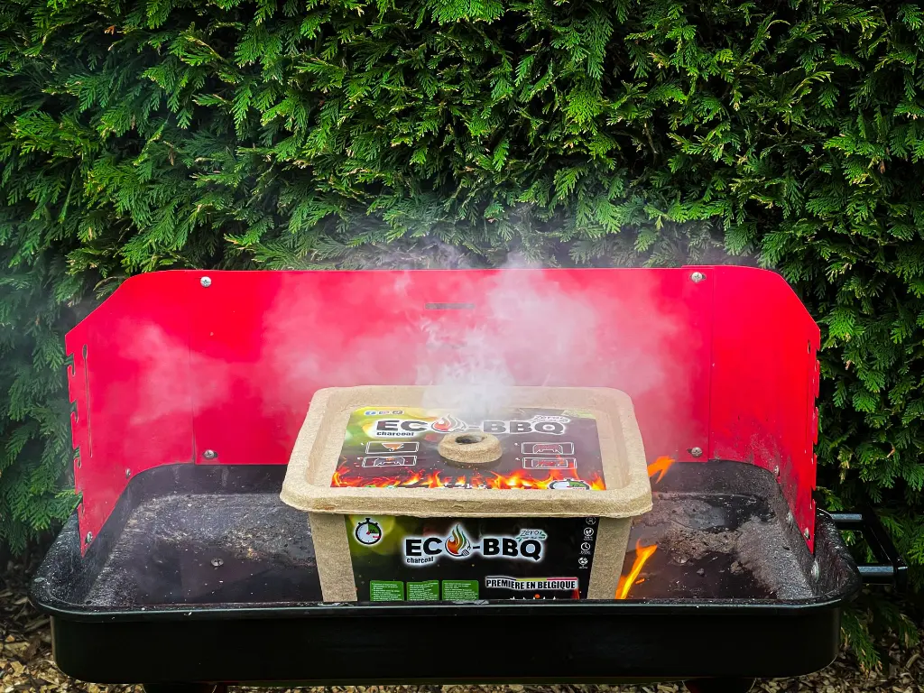eco-bbq-en-action-barbecue-ecologique.jpg.webp