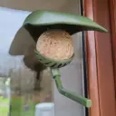Suction cup bird seed ball holder for wild birds