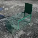 Raccoon trap cage
