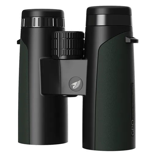 Jumelles GPO Passion ED 10×42 – Puissance, netteté et luminosité (Vert)