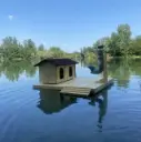 Spezialfütterung für Enten auf schwimmenden Inseln