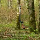 Mangeoire pour gibier, anti-gaspillage et résistante