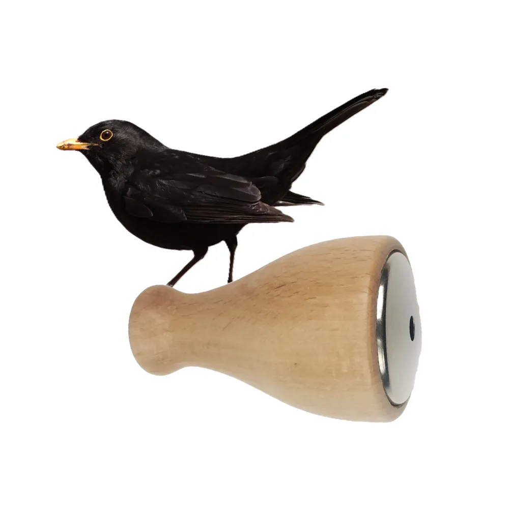 Les Zapos Call – Blackbird