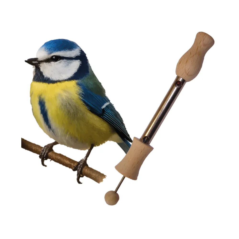 Les Zapos Call – Blue Tit