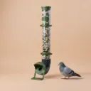 Pigeon feeder - Sturdy and pest-proof